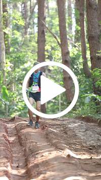 BIB:  <button type="button" onclick="openModal(26569643)" class="btn btn-primary btn-sm float-right" data-toggle="modal" data-target=".modal-high-quality">
                <i class="fa fa-download"></i> Download
                </button>